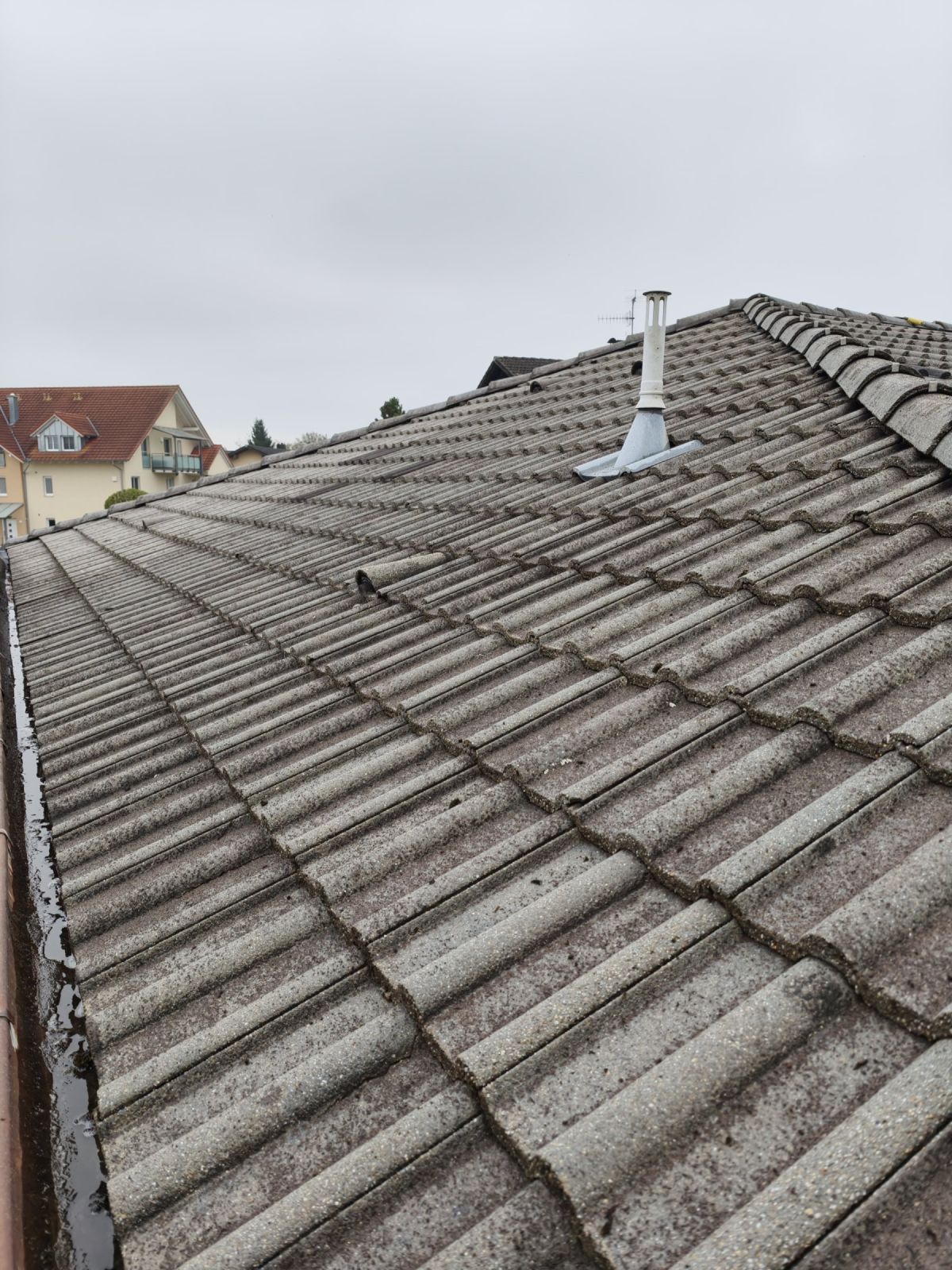 Dachsteine nach der Dachreinigung